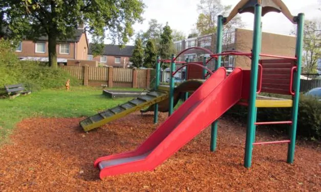 Best Playground Mulch